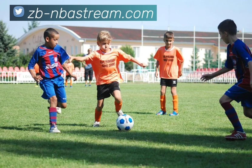 NBA直播平台生态图